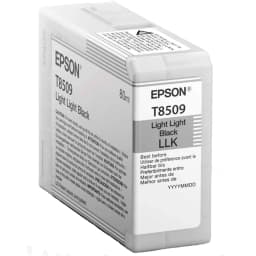 CARTUCHO EPSON T850900 - imagen 1